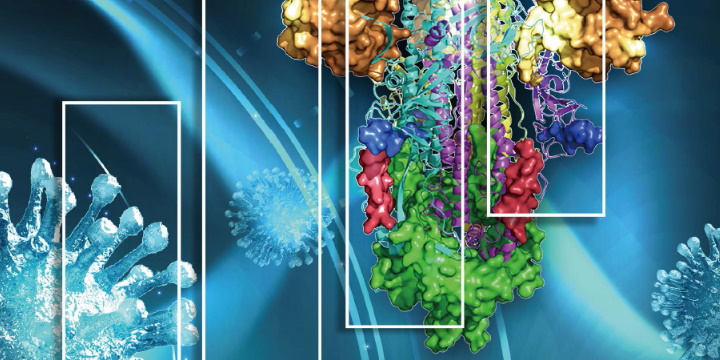 SARS-CoV-2: dagli anticorpi ai kit ELISA, tutto per la tua ricerca