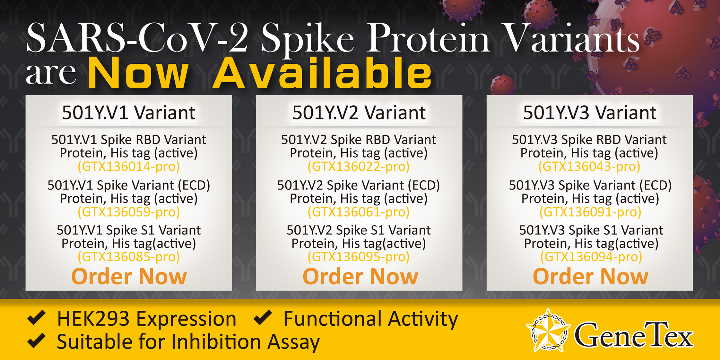 SARS-CoV-2 (COVID-19) Spike Variant Recombinant Proteins