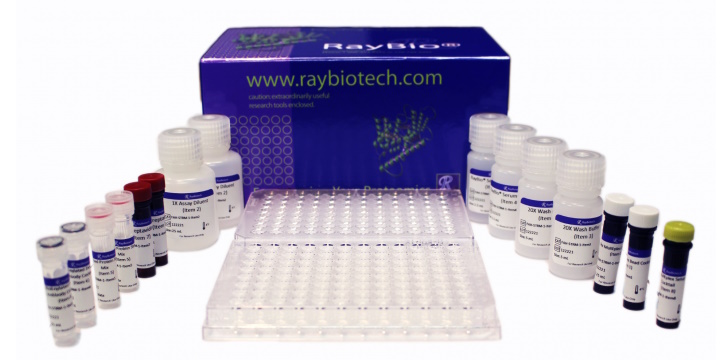 Multiplexing using any standard flow cytometer with RayPlex arrays